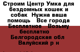 Строим Центр Умка для бездомных кошек и собак! Нужна ваша помощь - Все города Бесплатное » Возьму бесплатно   . Белгородская обл.,Валуйский р-н